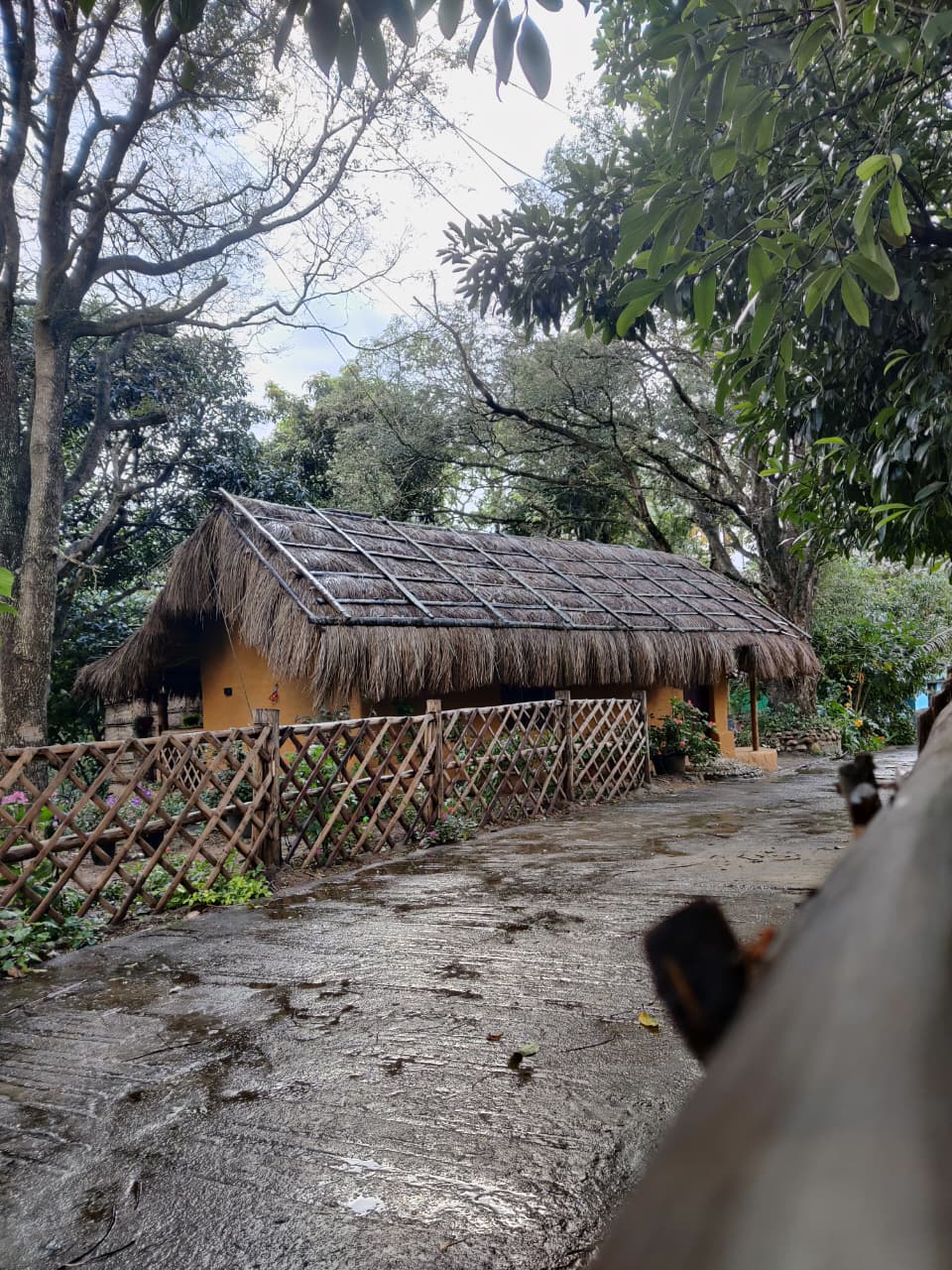 Natural Surroundings